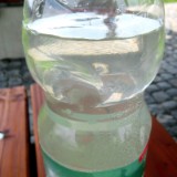 2305F 025 Sauerborn Loehnberg